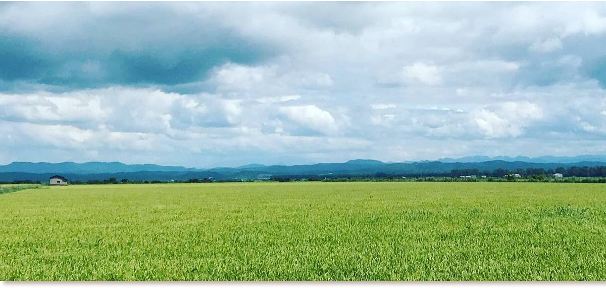 株式会社味楽農場のフィールド田園風景