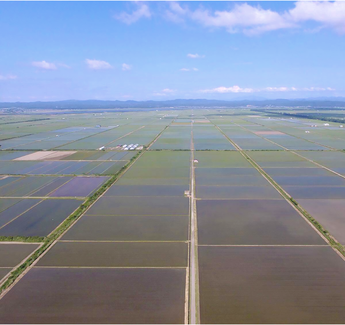 秋田県大潟村の田園風景空撮