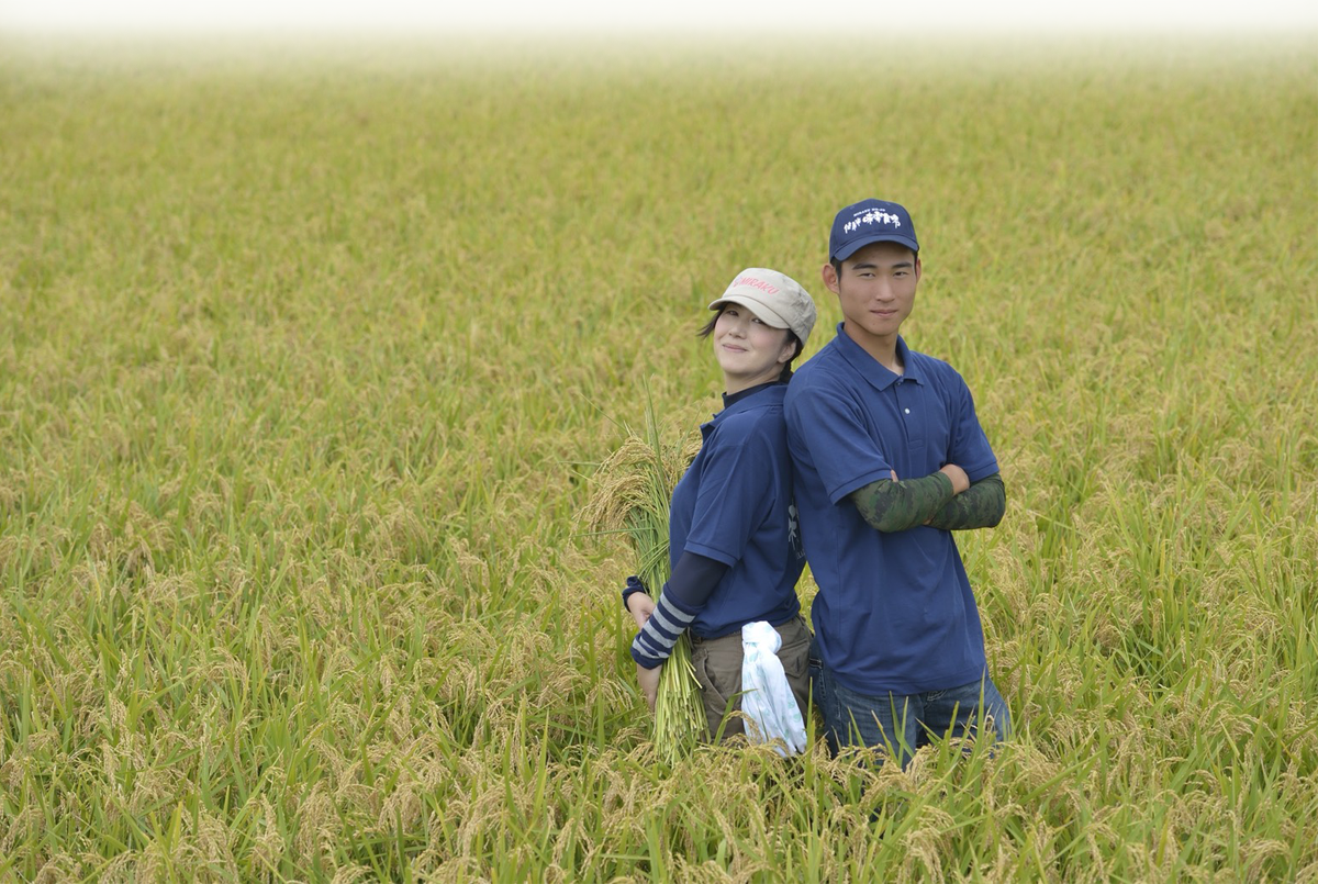 株式会社健康米味楽農場の田園風景
